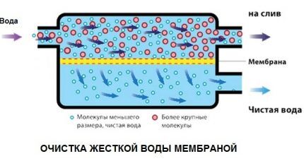 Rétention des impuretés par les pores de la membrane