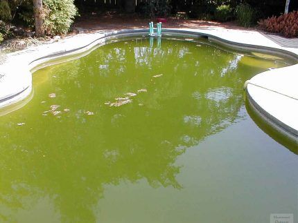 Contamination de la piscine