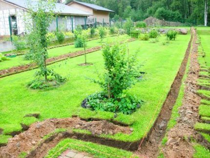 Excavation work at the dacha