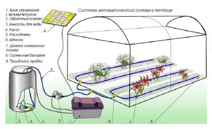 Irrigation scheme in a greenhouse
