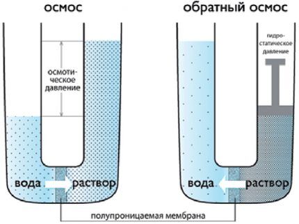 Modèle de laboratoire d'osmose