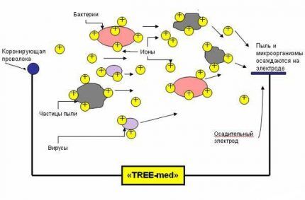 Wirkungsdiagramm des elektromagnetischen Feldes