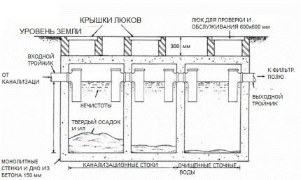 Plan of a purifier with overflow equipped with a tee