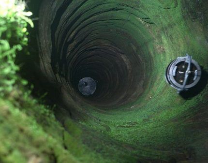 Moss-covered well walls