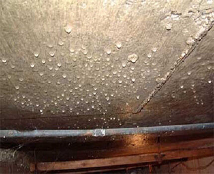 Condensation on the ceiling of the cellar