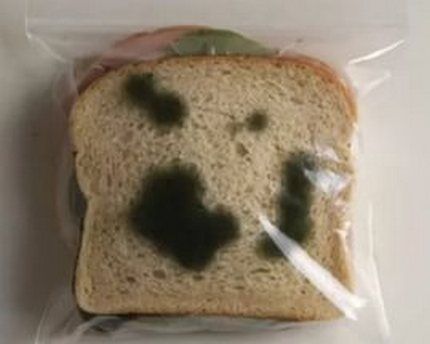 Black mold on bread