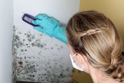 Removing mold with a brush