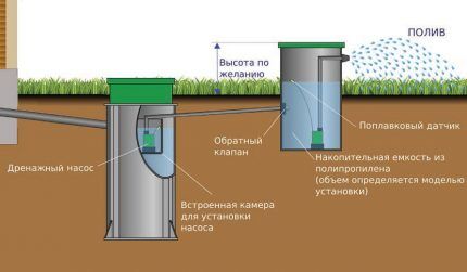 Using purified water for irrigation