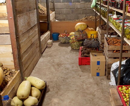 Almacenar verduras en el sótano.