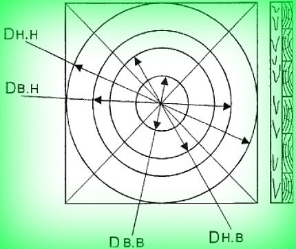 Markup formular