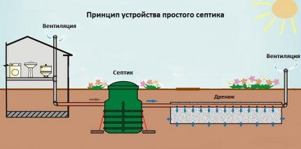 Septic tank location