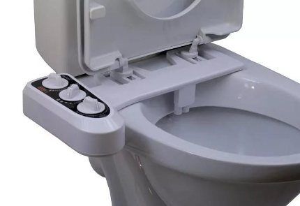 Bidet cover for toilet rim