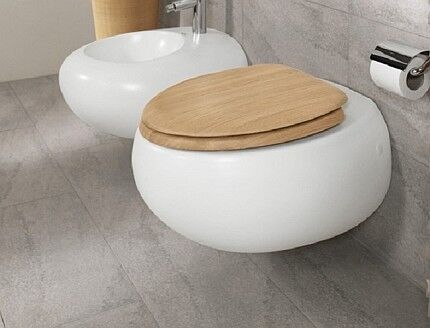 Decorative wall mounted toilet bowl