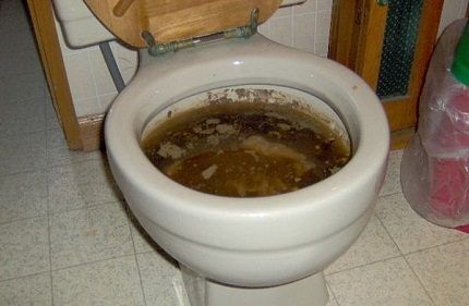 Clogged toilet