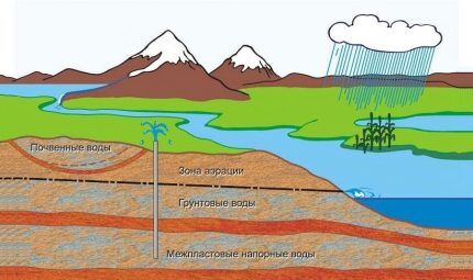 Talajvíz diagram