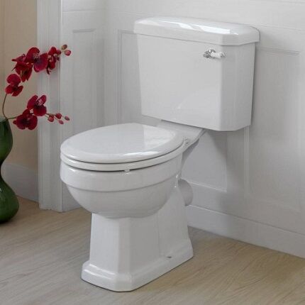 Porcelain toilet