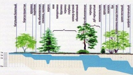 Determination of groundwater depth