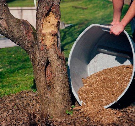 Rotted peat is an excellent fertilizer