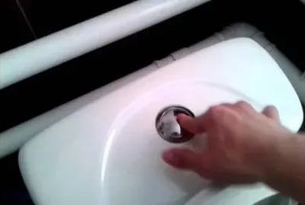 Double toilet cistern button