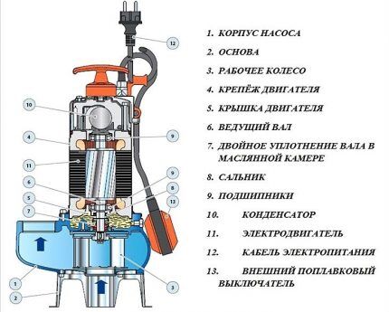 Design and components of a fecal pump