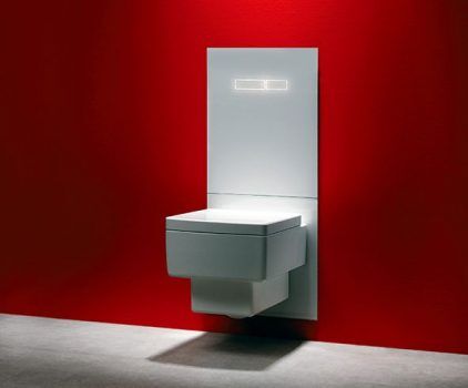 Wall-hung toilet of unusual shape