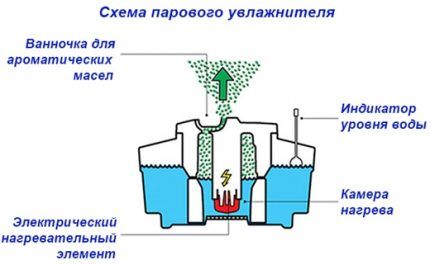 humidificador de vapor