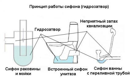 Types de siphons de plomberie