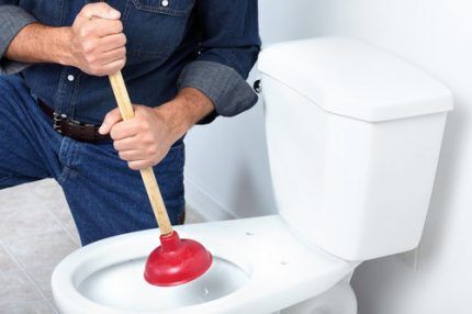 Regular plunger