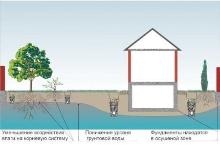 Schéma du système de drainage