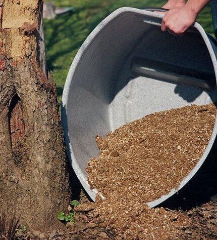 Paggamit ng peat bilang insulator ng root system