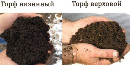 The difference between lowland peat and high peat