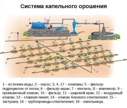 Drip irrigation system diagram
