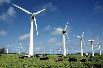 Wind turbines on the field