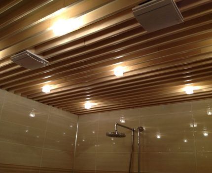 Bathroom ceiling