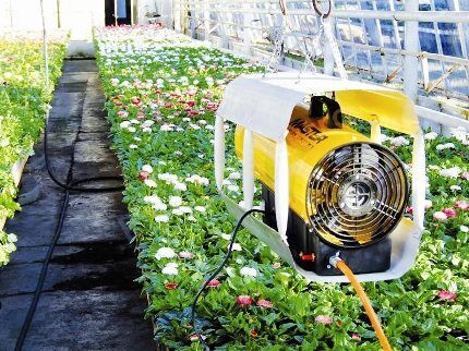 Ventilador térmico em estufa