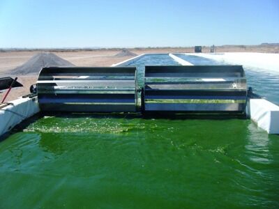 Biohydrogen production from algae