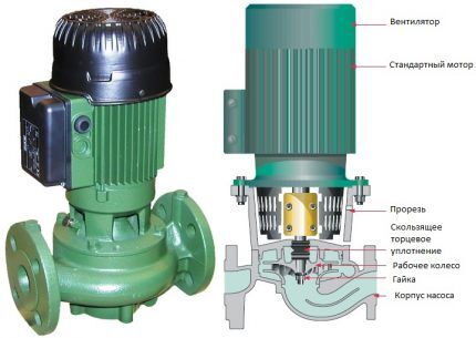 Dry rotor pump