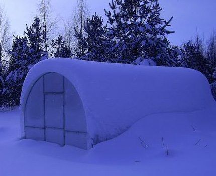 Invernadero cubierto de nieve