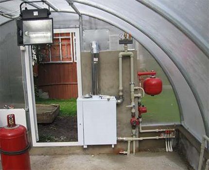 Gas boiler for heating a greenhouse
