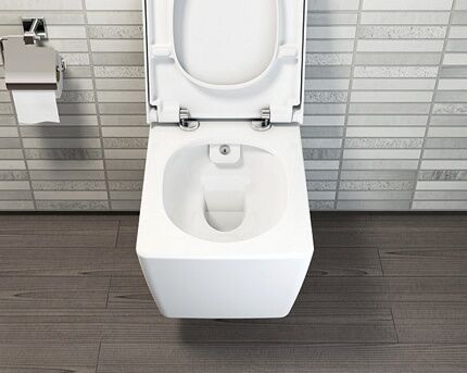 Bidet toilet without flush rim