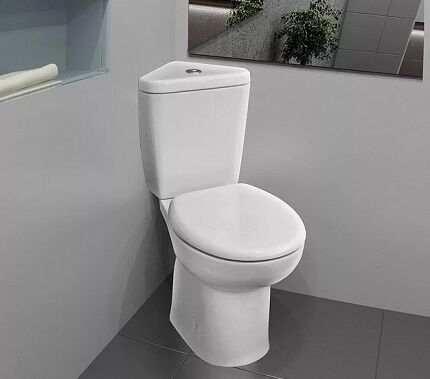 Corner toilet with bidet option