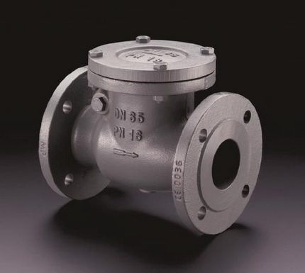 Flanged check valve