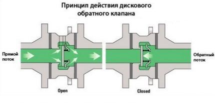 Disc check valve