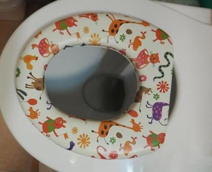 Soft toilet seat