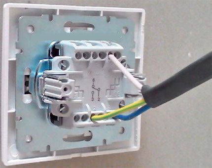 Connecting the cable to the switch