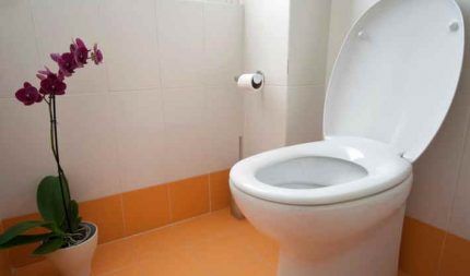 Duroplast toiletbril