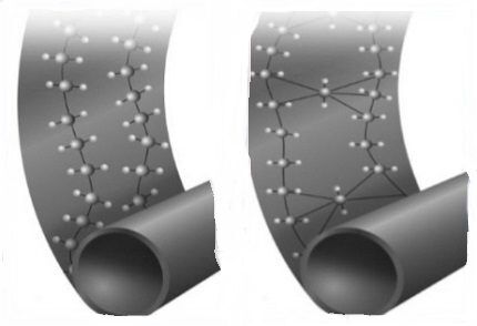 Structure of PEX-a