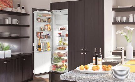 Single chamber refrigerator with freezer