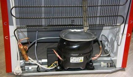 Refrigerator compressor