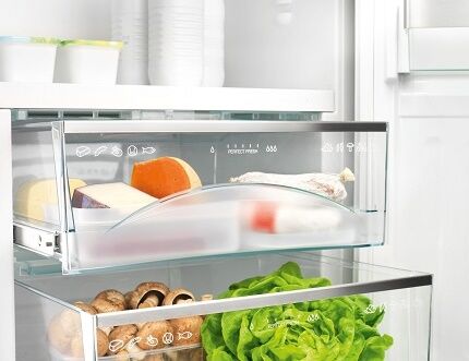 Products in the Bosch refrigerator 